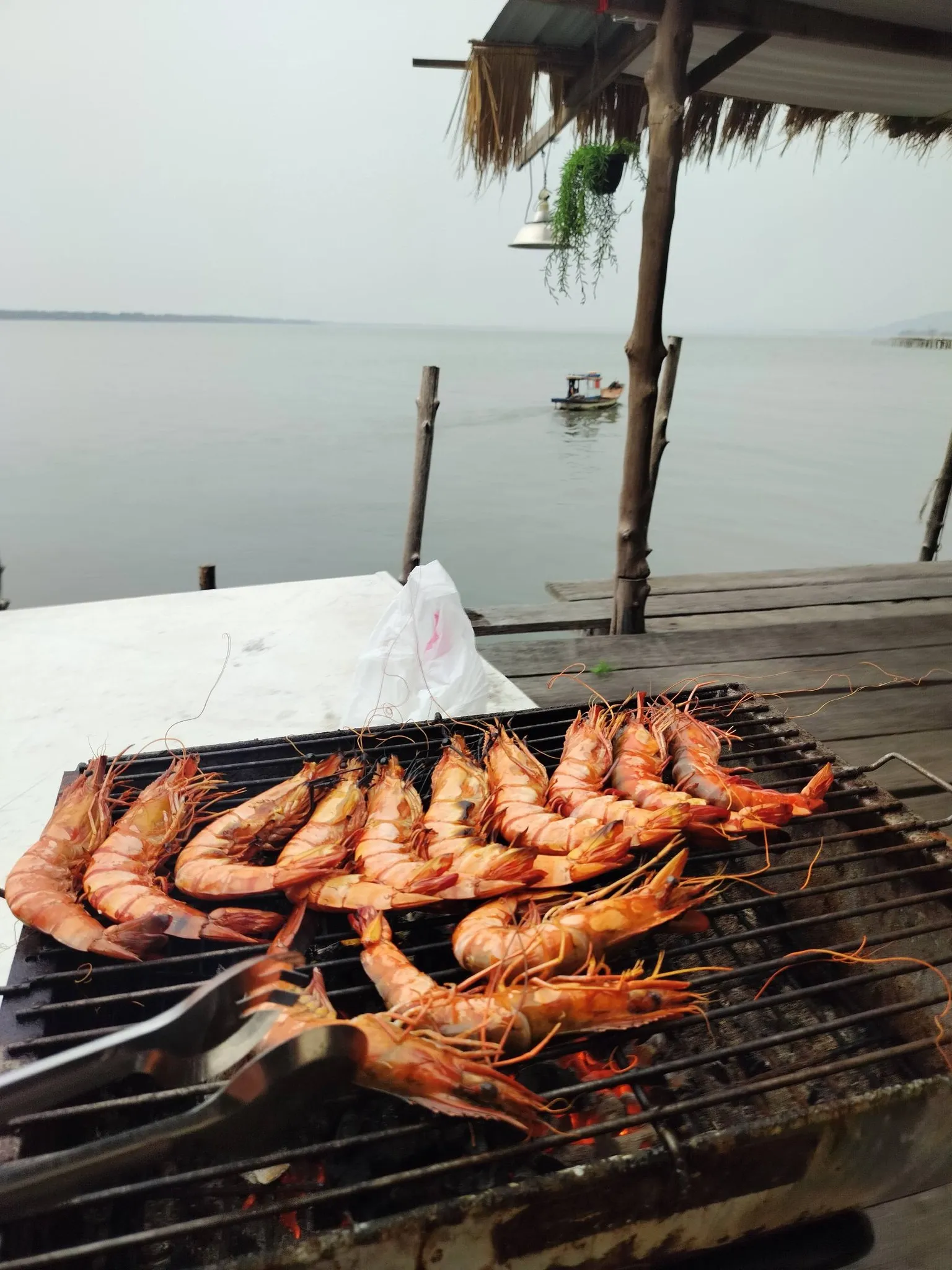 Food 19