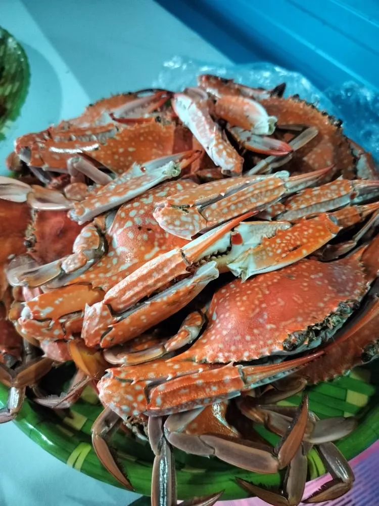 Food 22