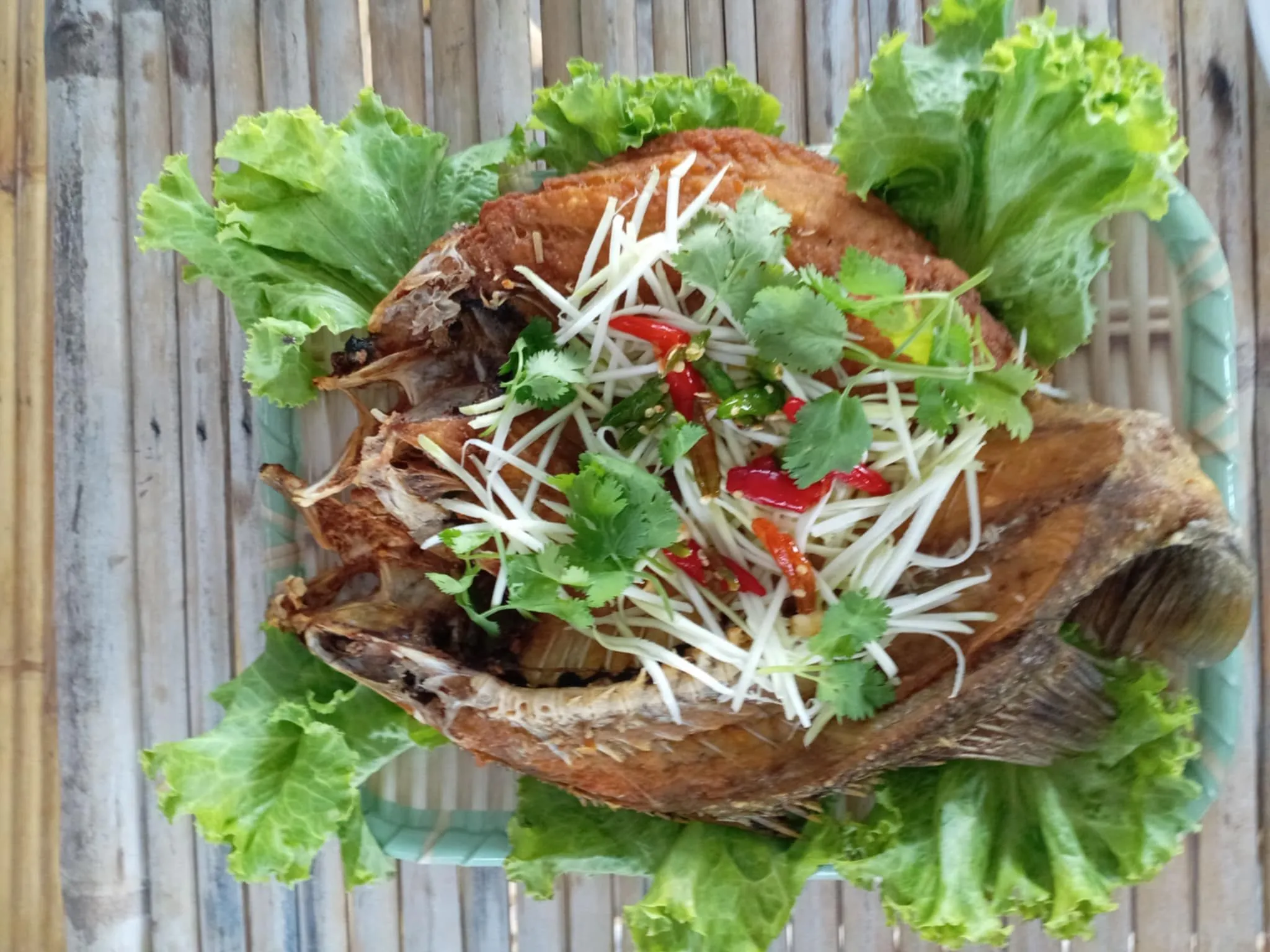 Food 23