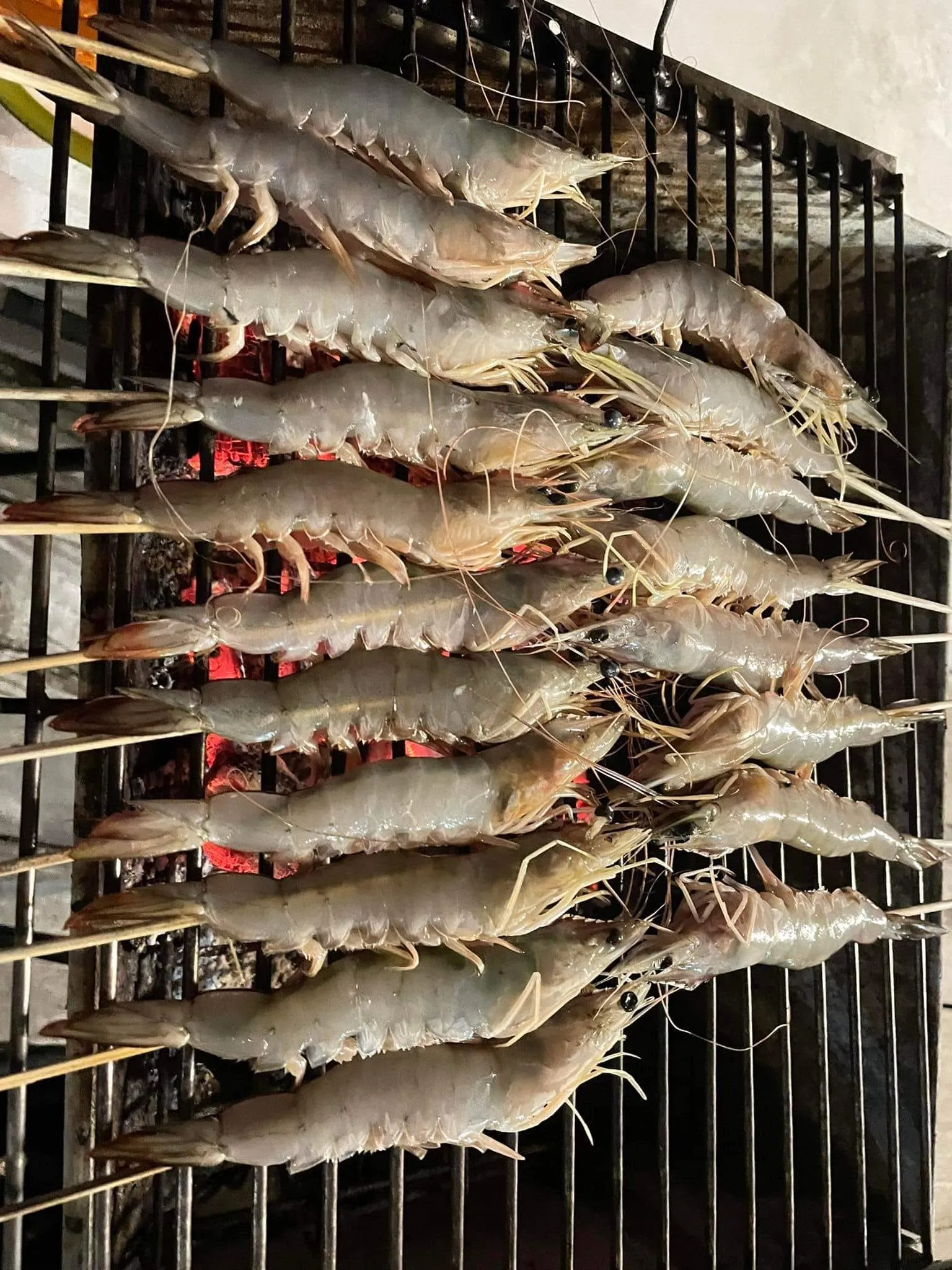 Food 24