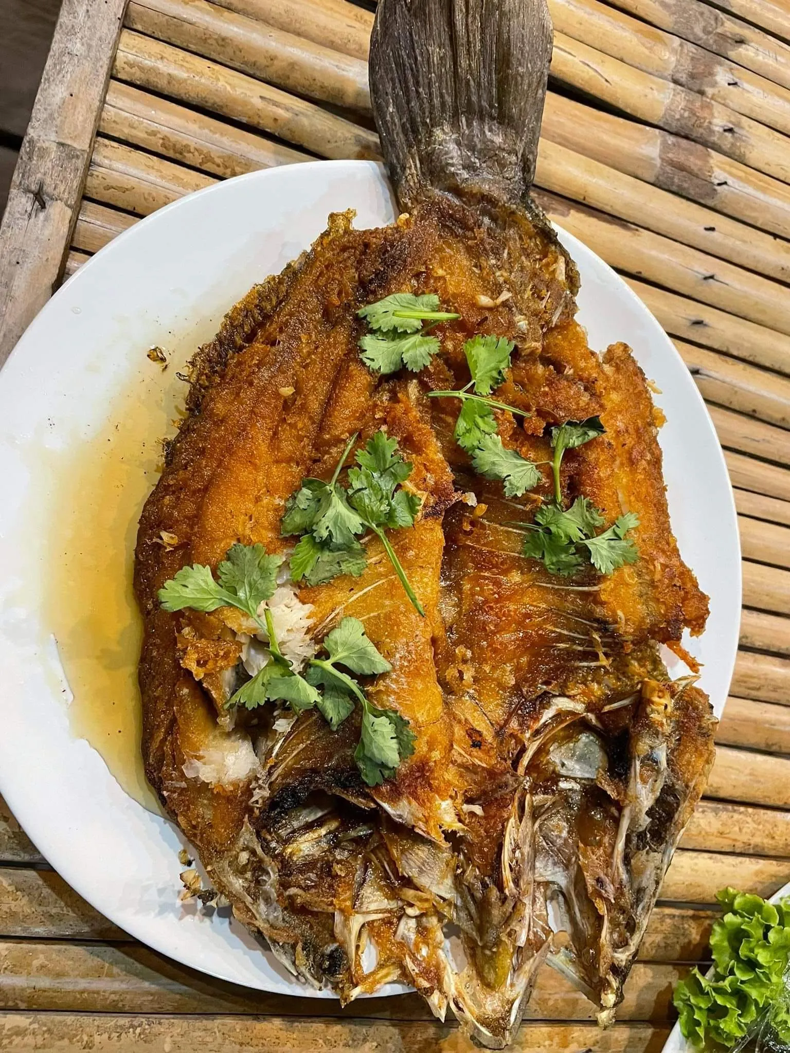 Food 25